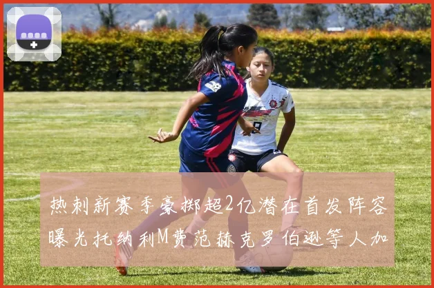 热刺新赛季豪掷超2亿潜在首发阵容曝光托纳利M费范赫克罗伯逊等人加盟