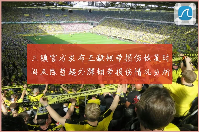 三镇官方发布王毅韧带损伤恢复时间及陈哲超外踝韧带损伤情况分析